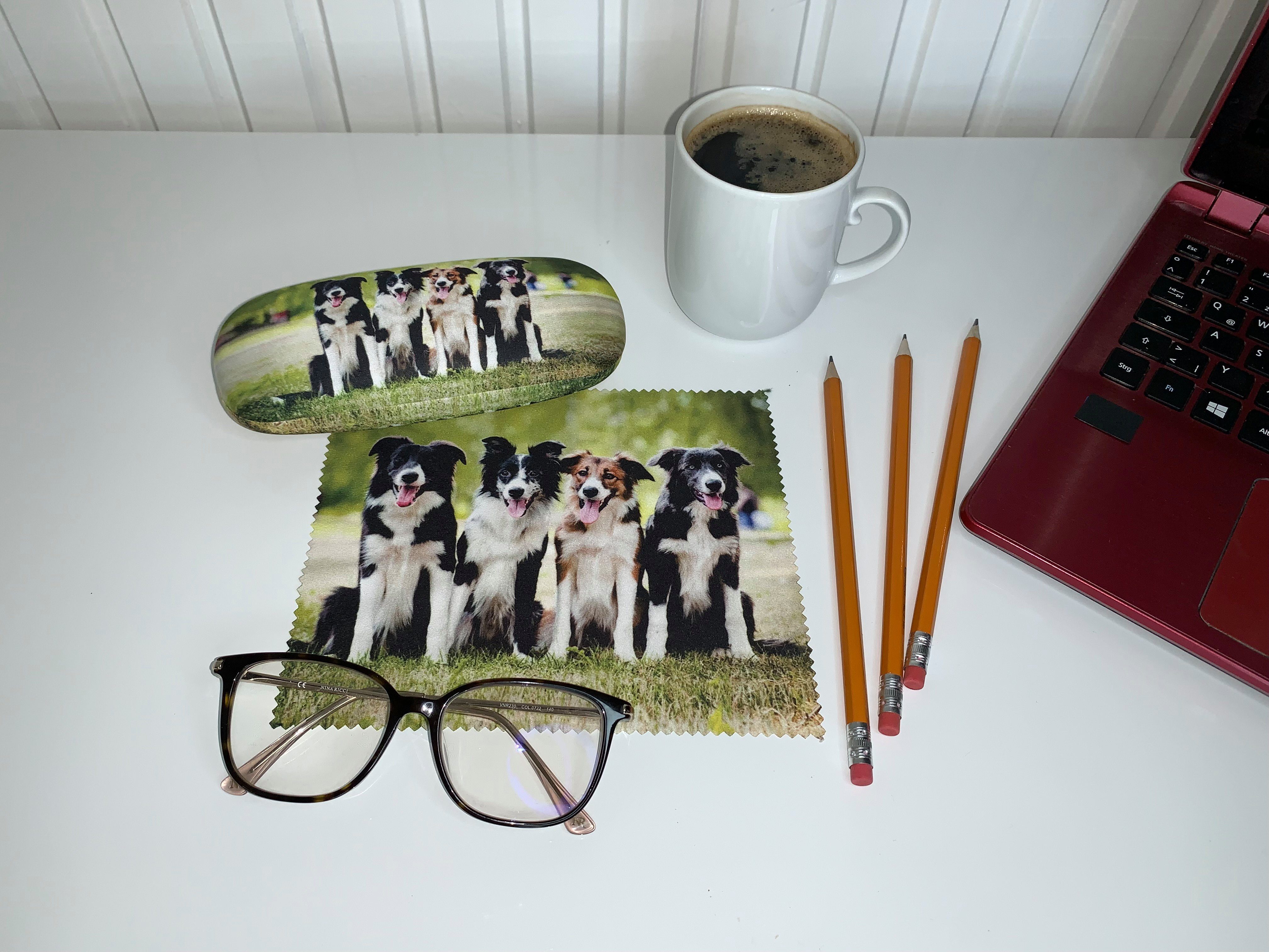 von Lilienfeld Brillenetui Brillenetui Border Collies Brillenputztuch Hardcase mit Stoff bezogen, Hochwertiges Putztuch mit demselben Motiv