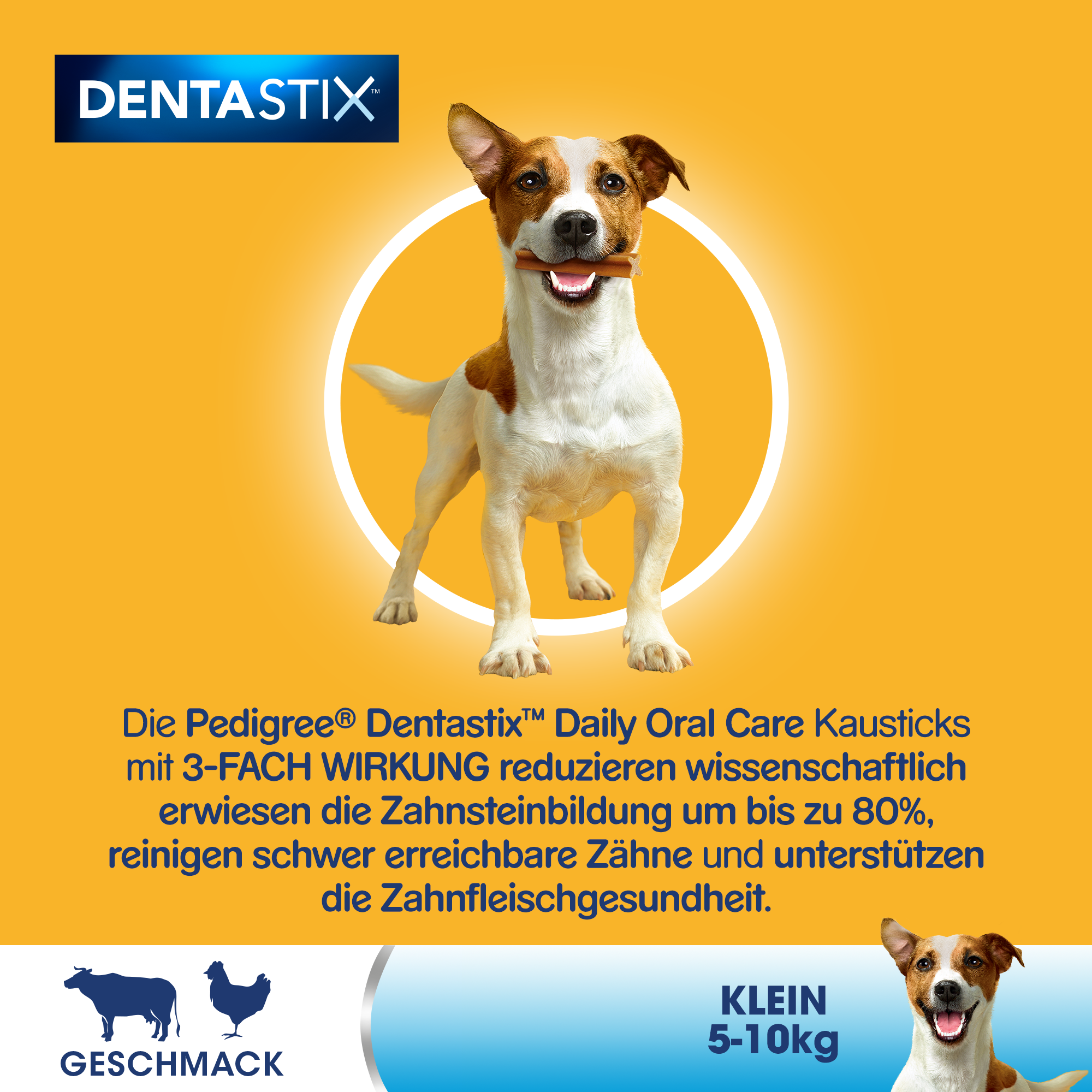 Pedigree Snacks Pedigree Zahnpflege Dentastix Daily Oral Care Multipack Mini, 5-10kg, 35x