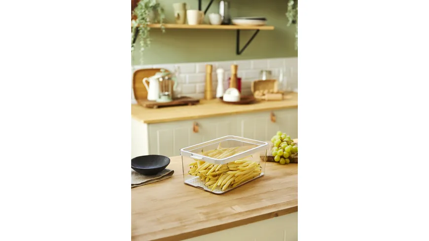 rotho Kühlschrankorganizer 2,15l Cauma