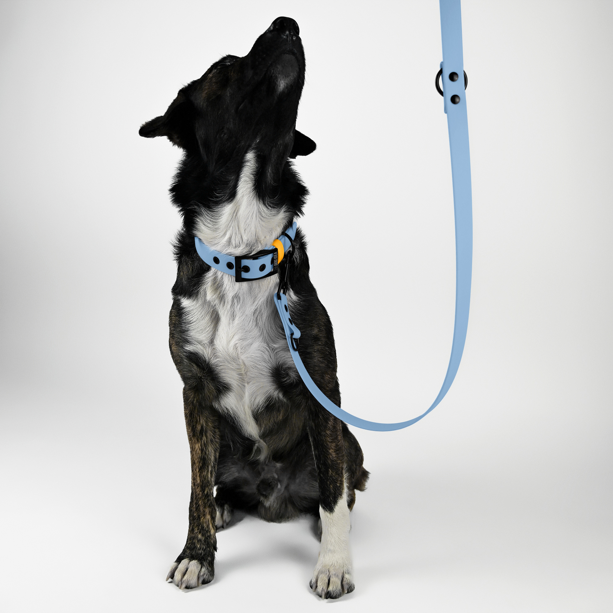 THE DOG IDEA Hundeleinen THE DOG IDEA Biothane Hundeleine Hellblau