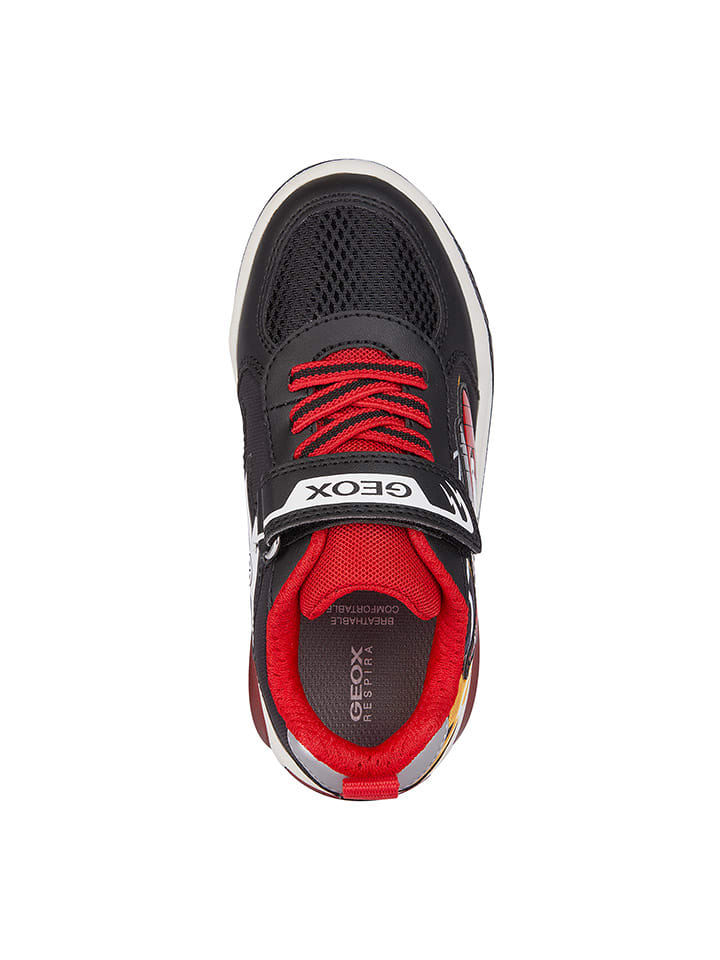 Geox Sneakers 