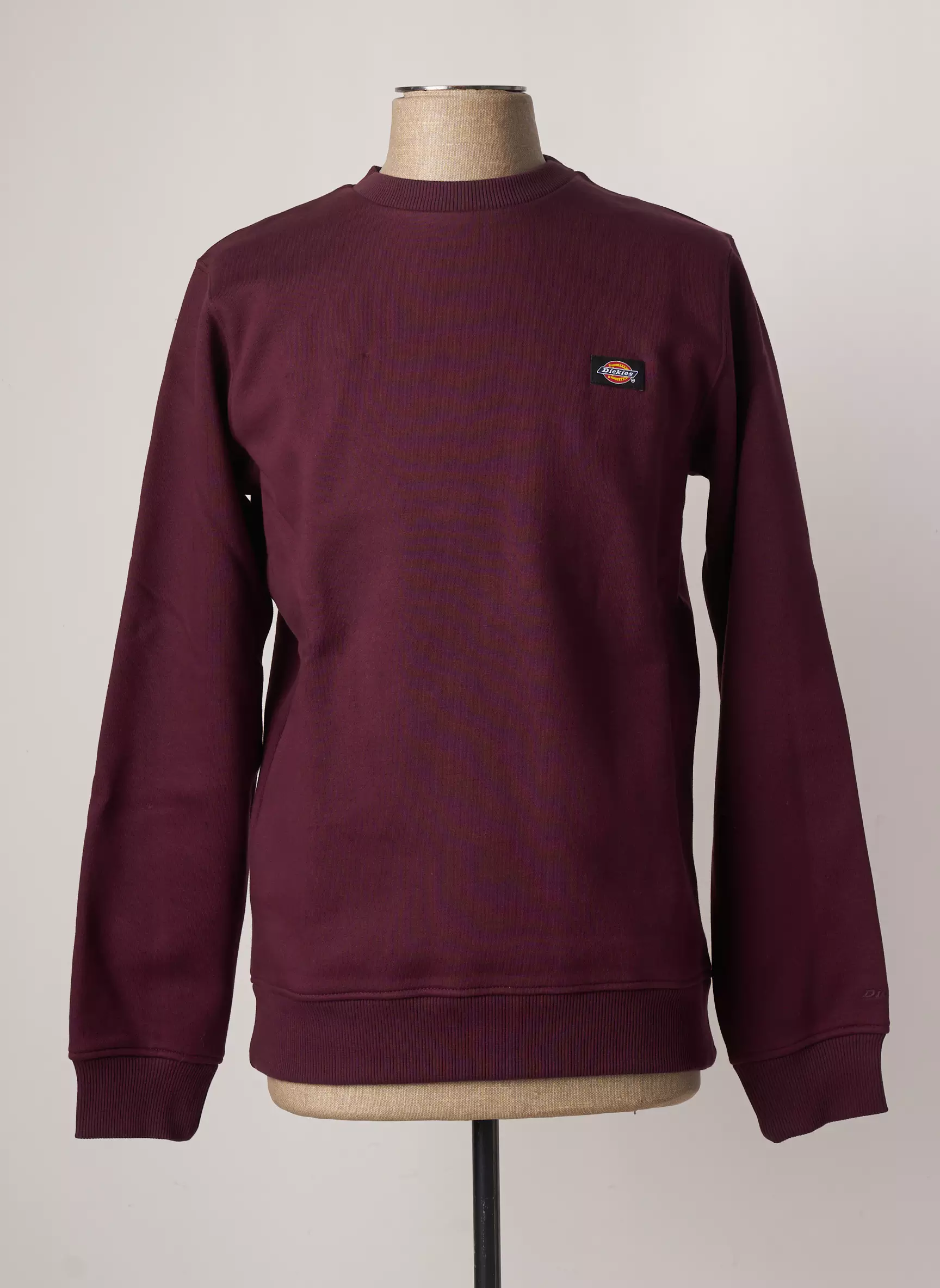 Dickies Sweats Homme couleur marron
