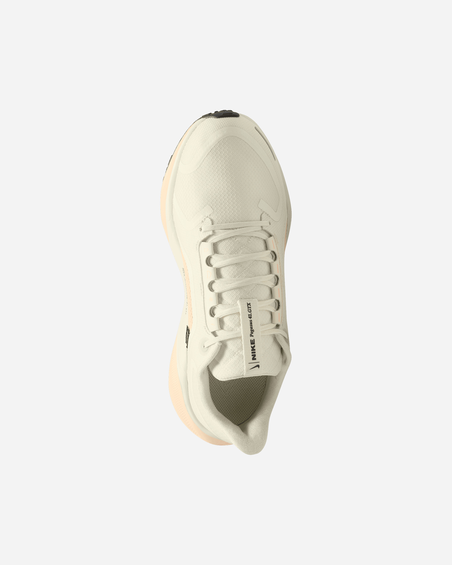Scarpe Running Nike Pegasus 41 Gore Tex W FQ1357-100