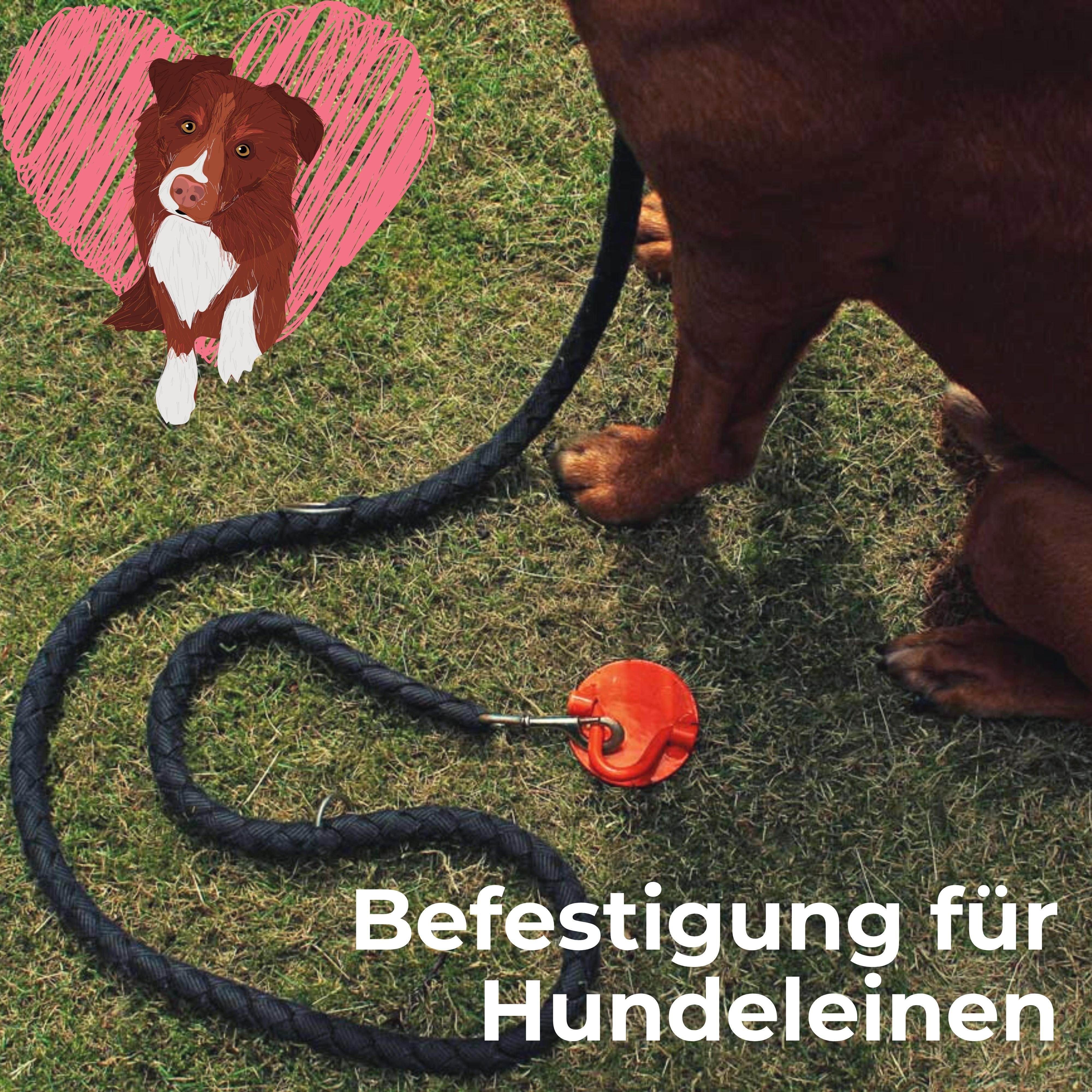 riijk Bodenanker Erdanker, Hering für Trampolin, Schaukel, Hund u. Spielturm, für Zelt, Gartenzelt, Hundeleine, Trampolin, Poolabdeckung, Schaukel, Klettergerüst, Hüpfburg, Eindrehen, (Set, 1-St., Zelthering mit Eindrehhilfe), Öse, Eindrehhilfe