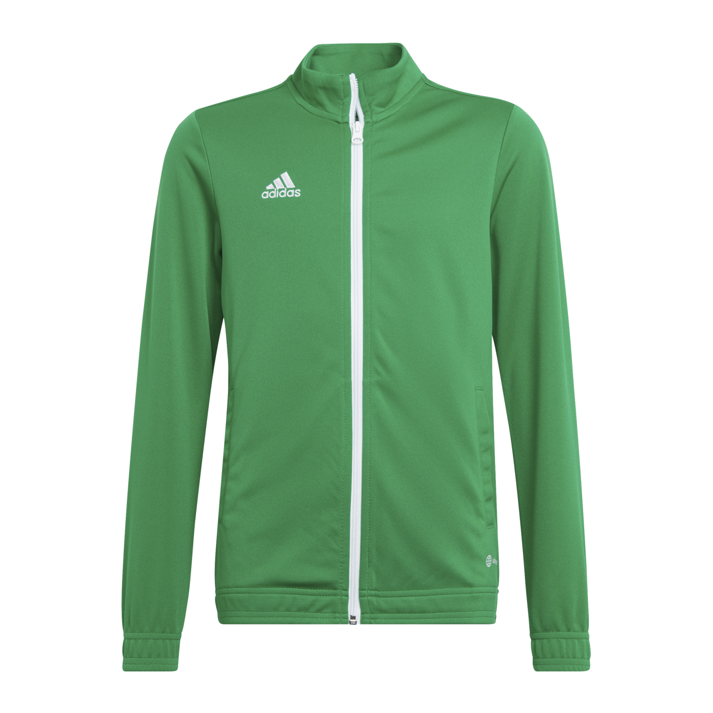 adidas Entrada 22 TK Trainingsjacke Kids Grün