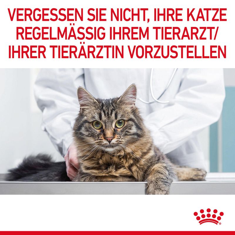 Royal Canin Appetite Control Care in Gelee