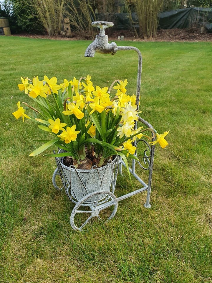 Ambiente Haus Blumenständer mit Wasserhahn in antikgrau günstig kaufen onesize