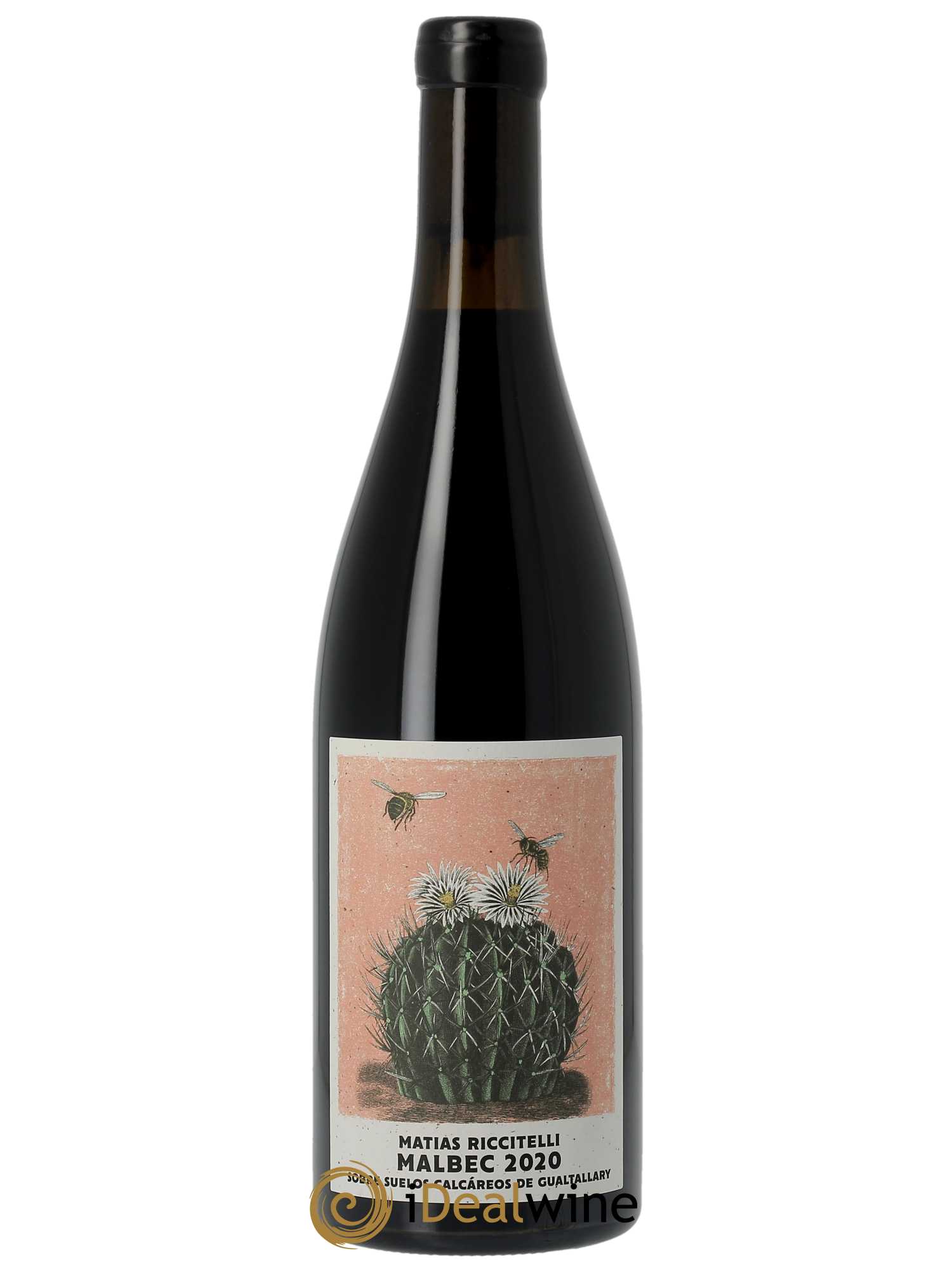 Gualtallary Matias Riccitelli Sobre Suelos Calcareos Malbec  2020 - Lot de 1 Bouteille