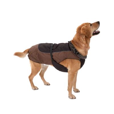 Hundemantel Grizzly II