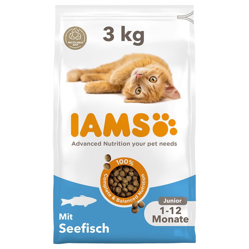 IAMS Advanced Nutrition Kitten mit Meeresfisch