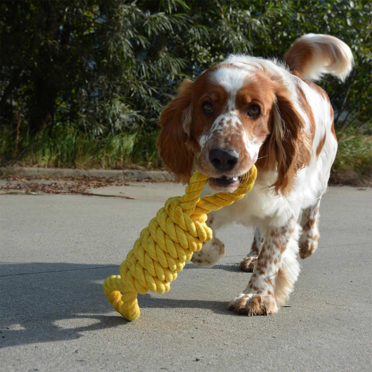 Ebi Bite Me - Tug Life Tau gelb 32cm günstig kaufen bei ZooRoyal