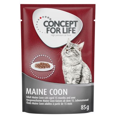 Concept for Life Maine Coon Adult (Ragout-Qualität)