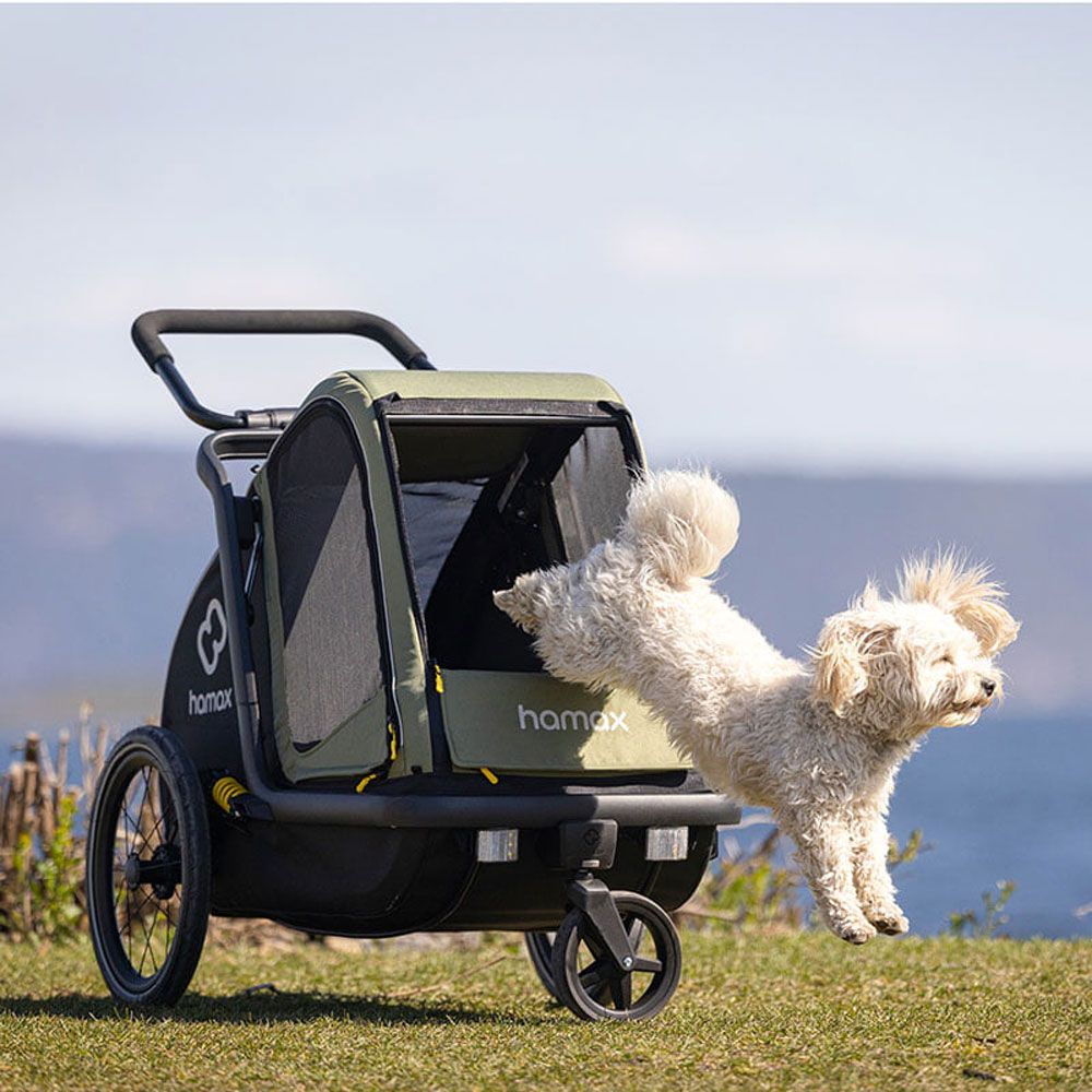 Hamax Pluto M - Hundeanhänger kaufen | Bike-Discount