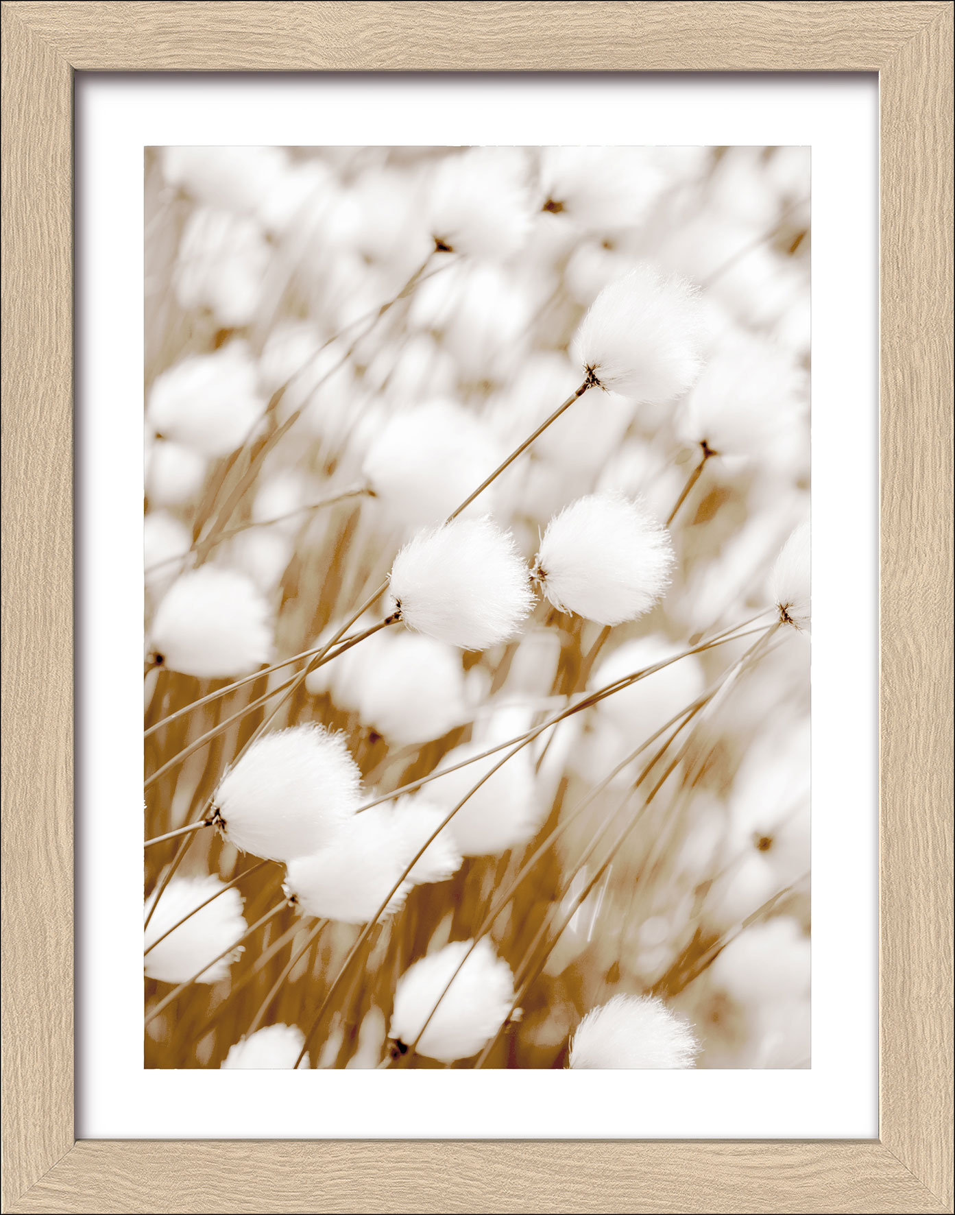 Pro ArtKunstdruck gerahmt 19x24cm