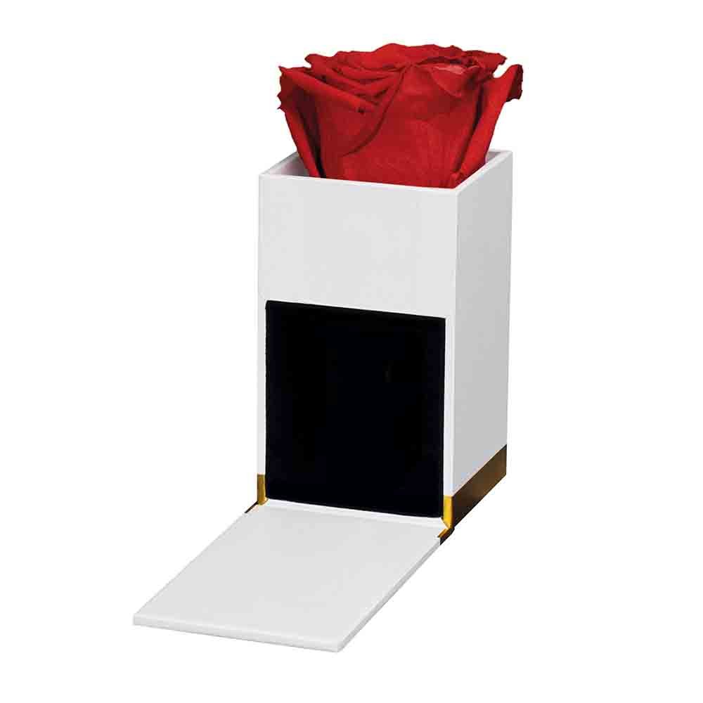 Birkholz Fragrance & Flowers Flower Mini Box Red