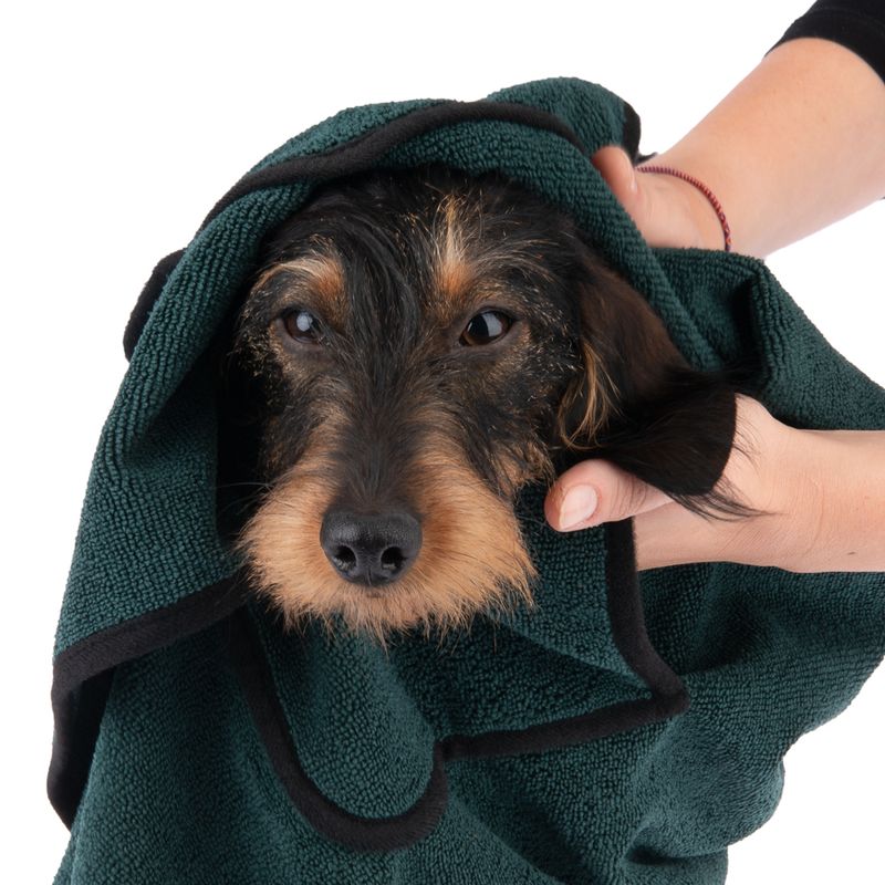 kooa Deluxe Mikrofaser Hundehandtuch zu TOP-Preisen