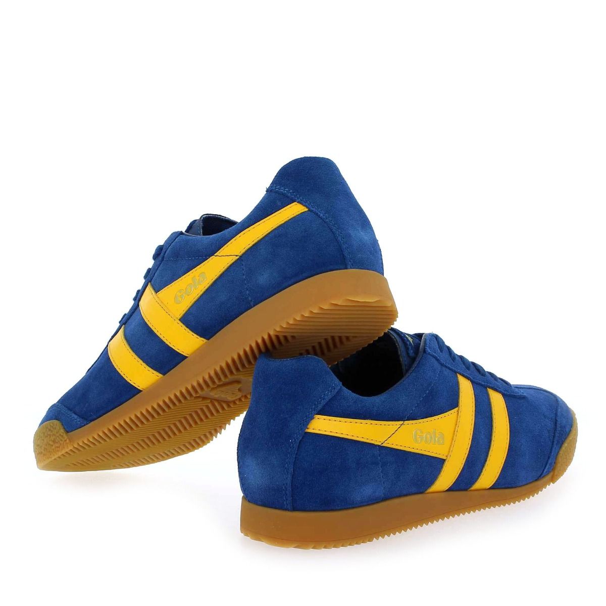 Gola  HARRIER GOLA CMA192 - Bleu Jaune