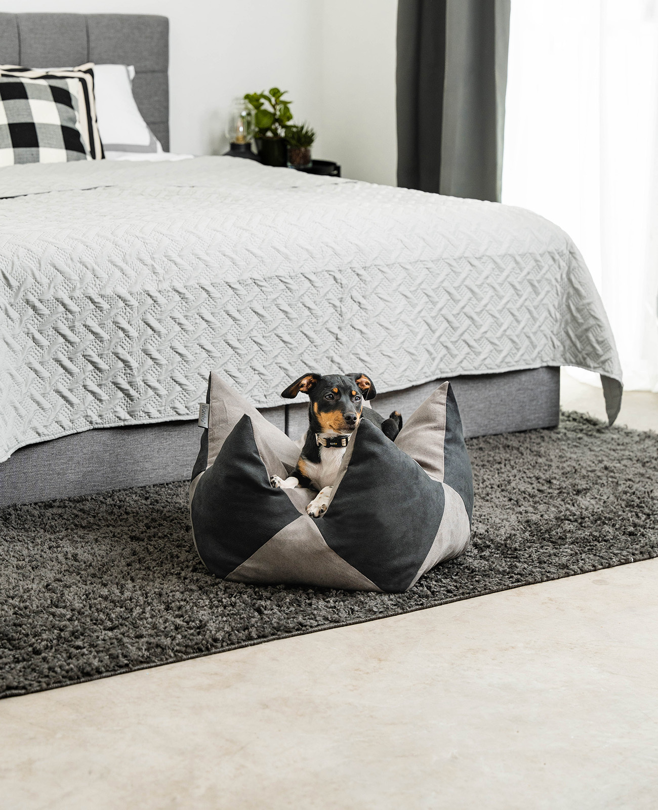 Lionto Hundebetten Lionto Hundebett - Kronenkissen grau/ schwarz S