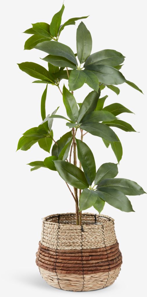 TERJE Blumentopf TERJE Ø25xH23cm natur