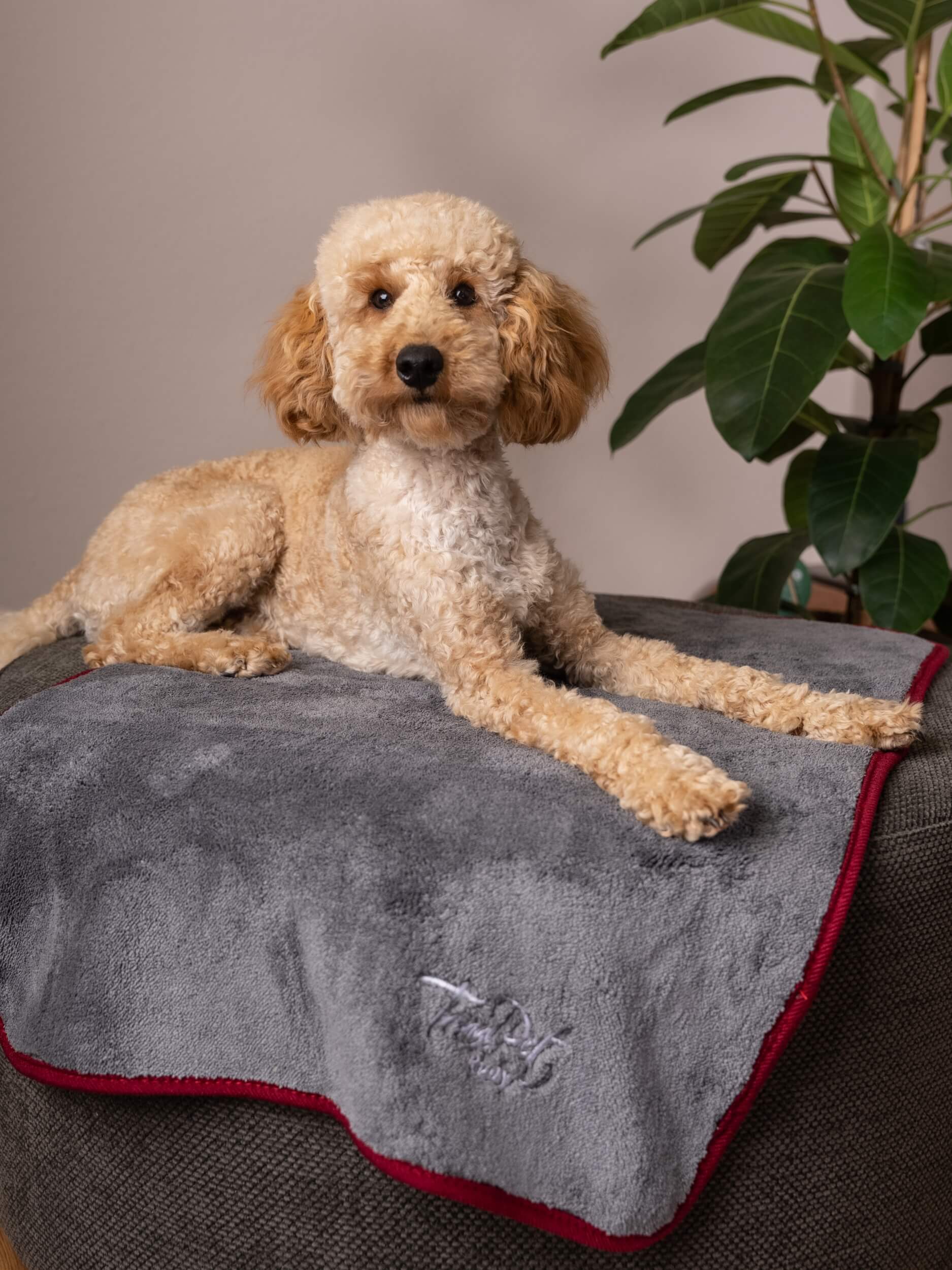 TrendPet Hundedecken TrendPet Ruby Trockungsdecke grau XXXL