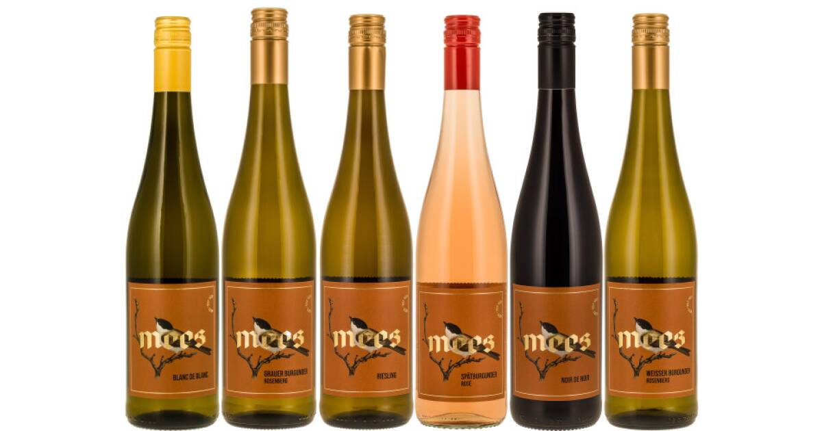 "BON VOYAGE" SOMMERWEIN trocken | Probierpaket | 6 x 750ml von Weingut Mees günstig bei wein.de kaufen