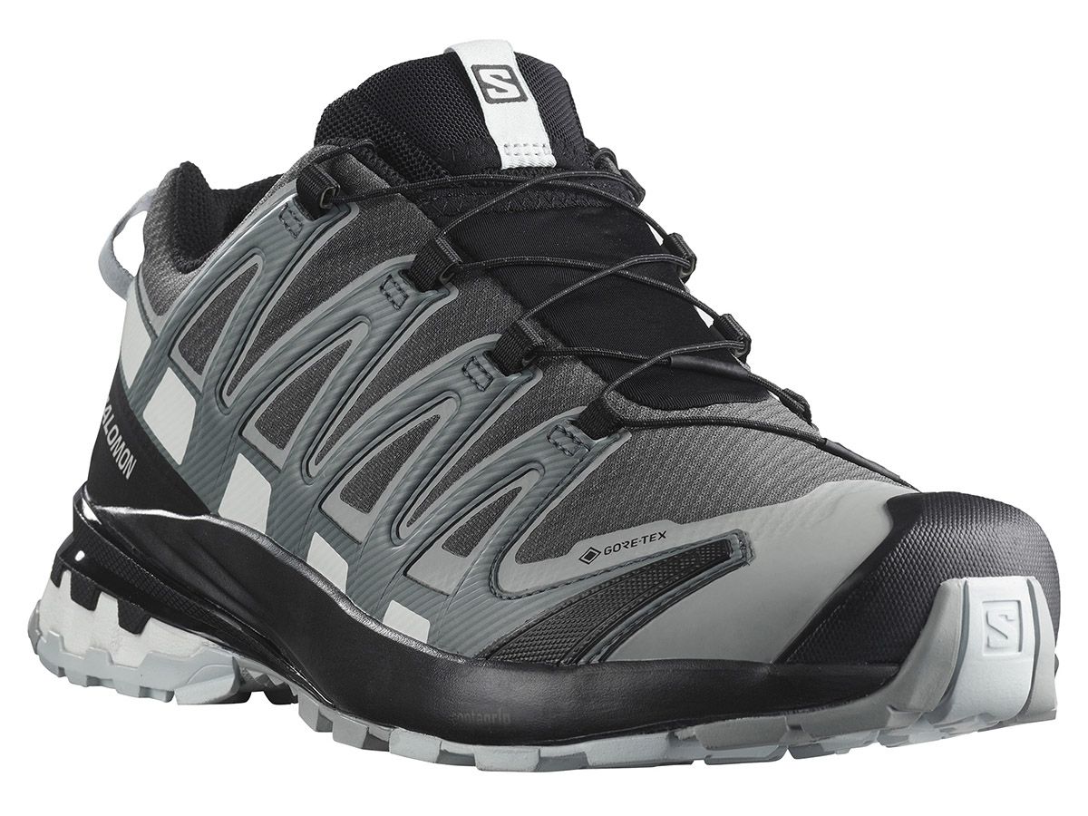 Salomon Xa Pro 3D V8 GTX Magnet/Stowea/White Herren Wanderschuhe