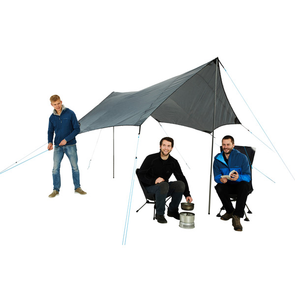DAWN L TARP