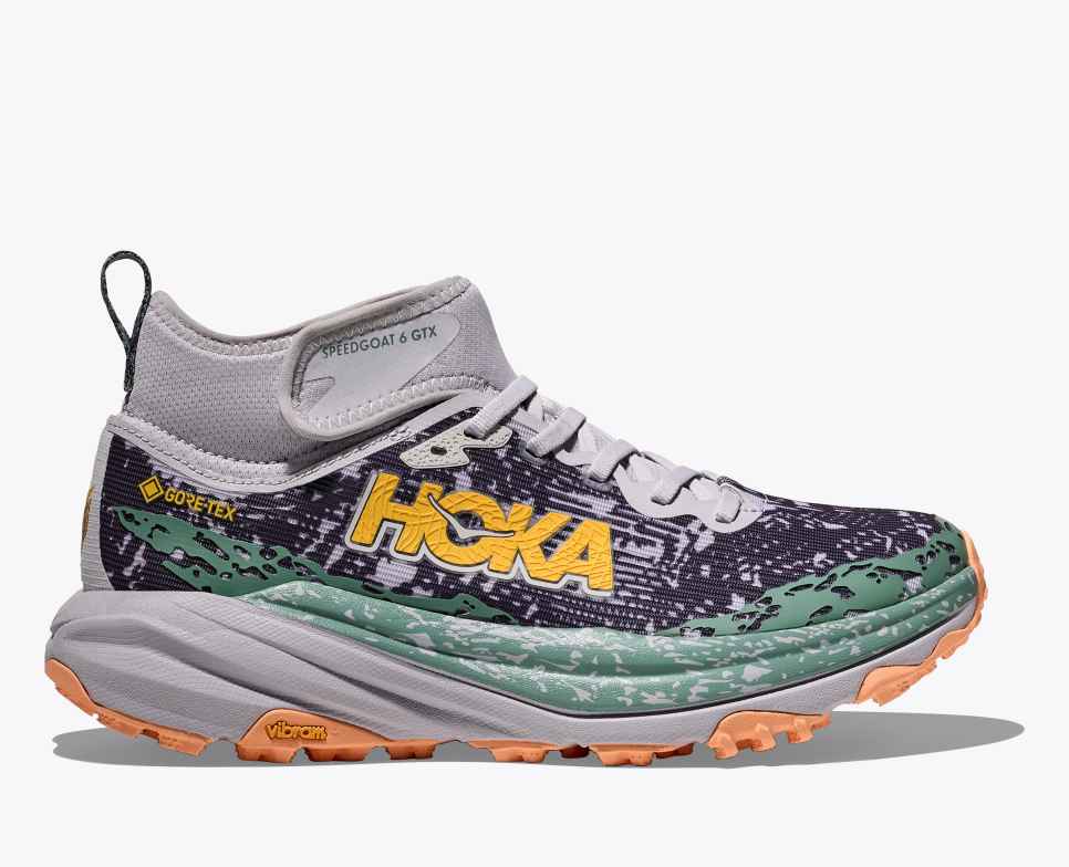 Speedgoat 6 middels GORE-TEX Ash Grey / Charcoal Grey