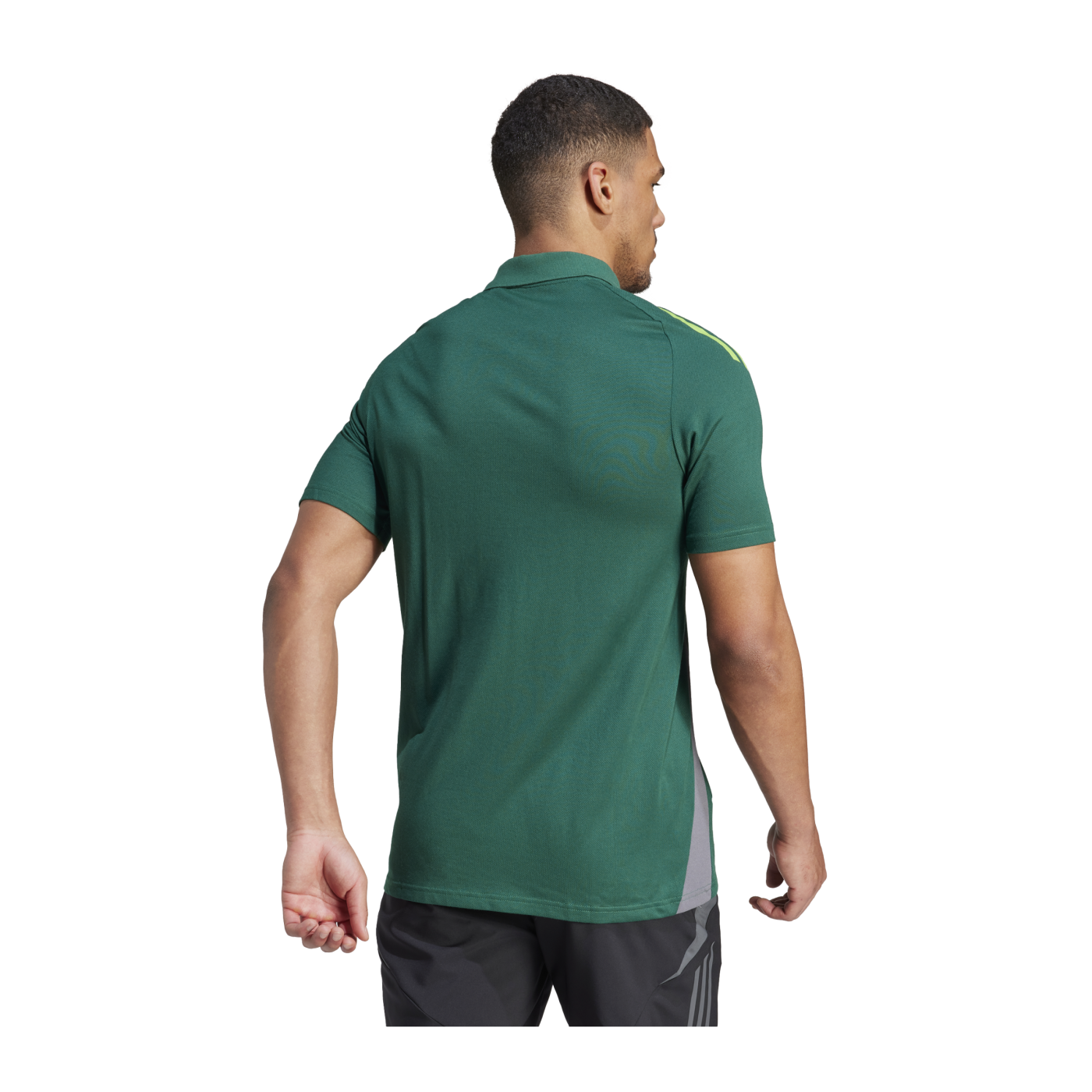 adidas Tiro 24 Competition Poloshirt Grün