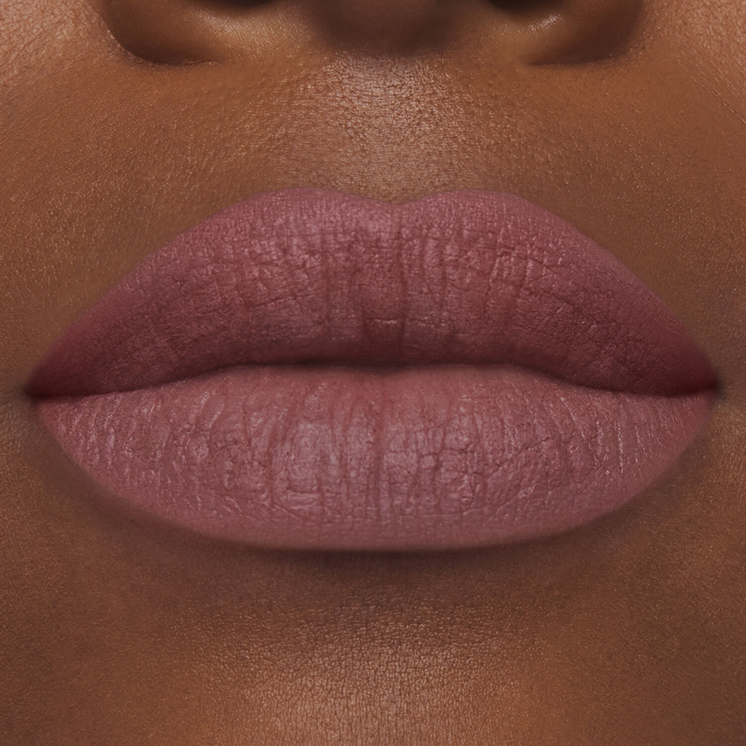 Estée Lauder Pure Color Rouge à Lèvres Mat