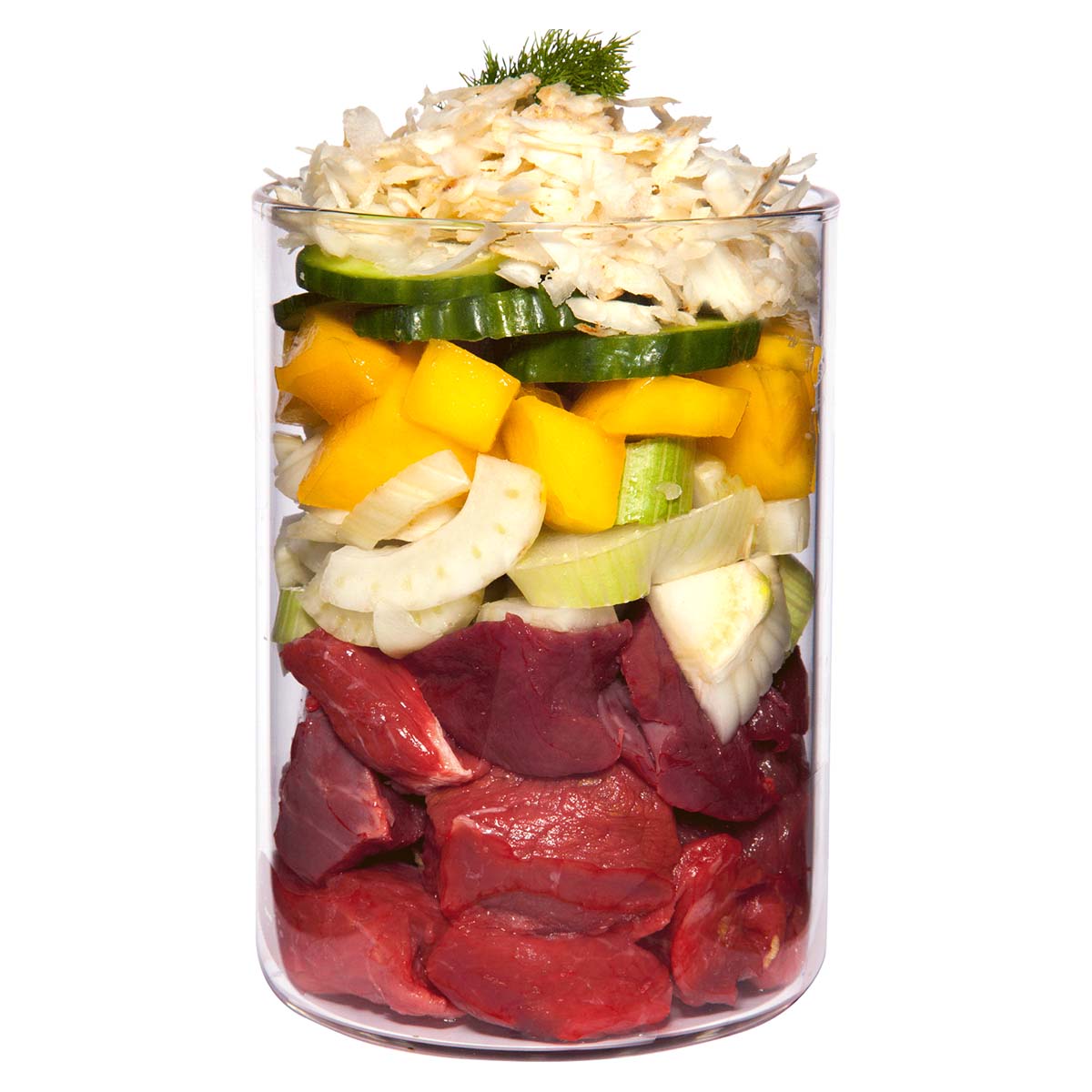 Terra Canis Light - Rind mit Kürbis günstig kaufen bei ZooRoyal