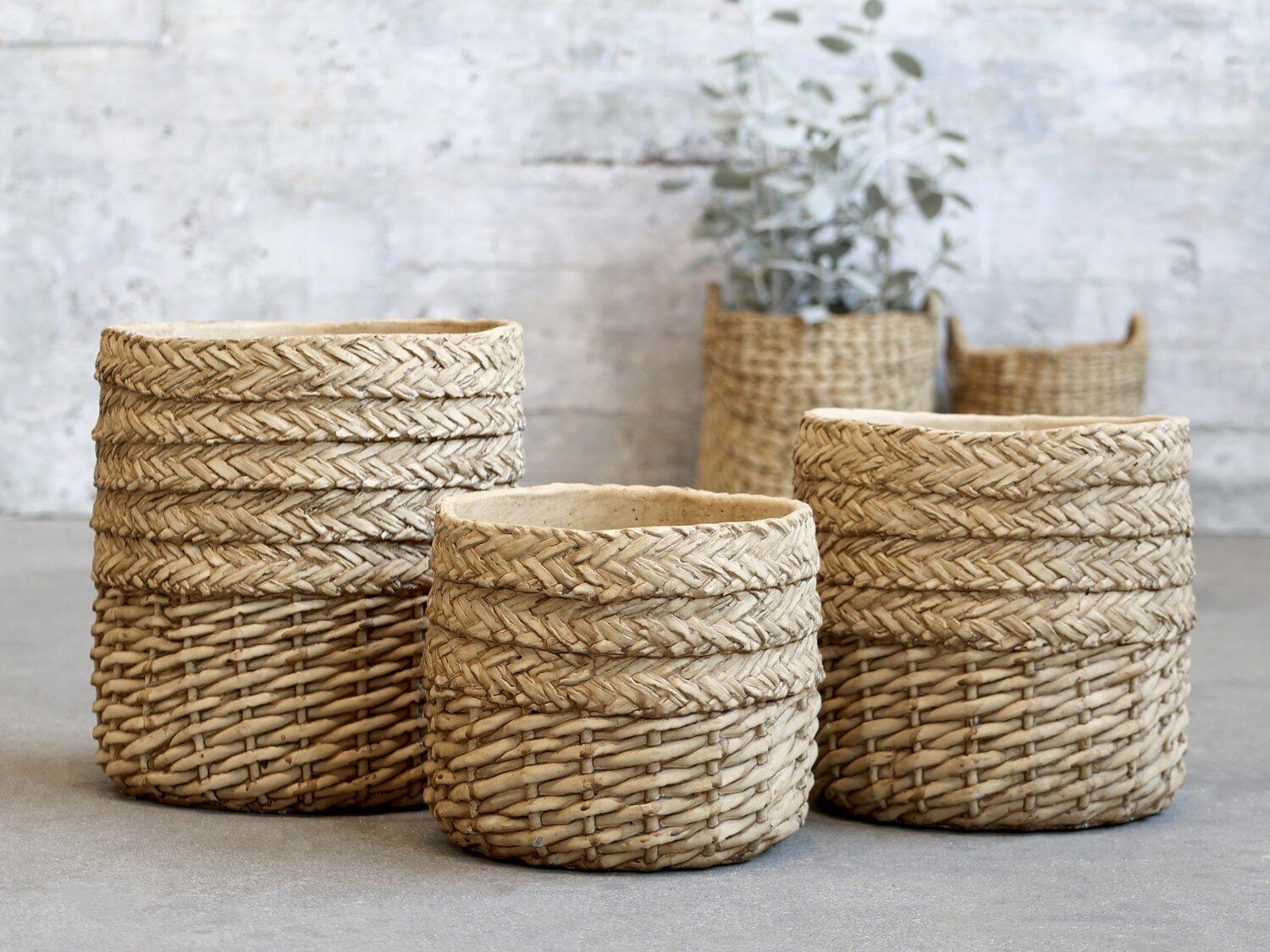 Chic Antique Übertopf Corte Flechtmuster
