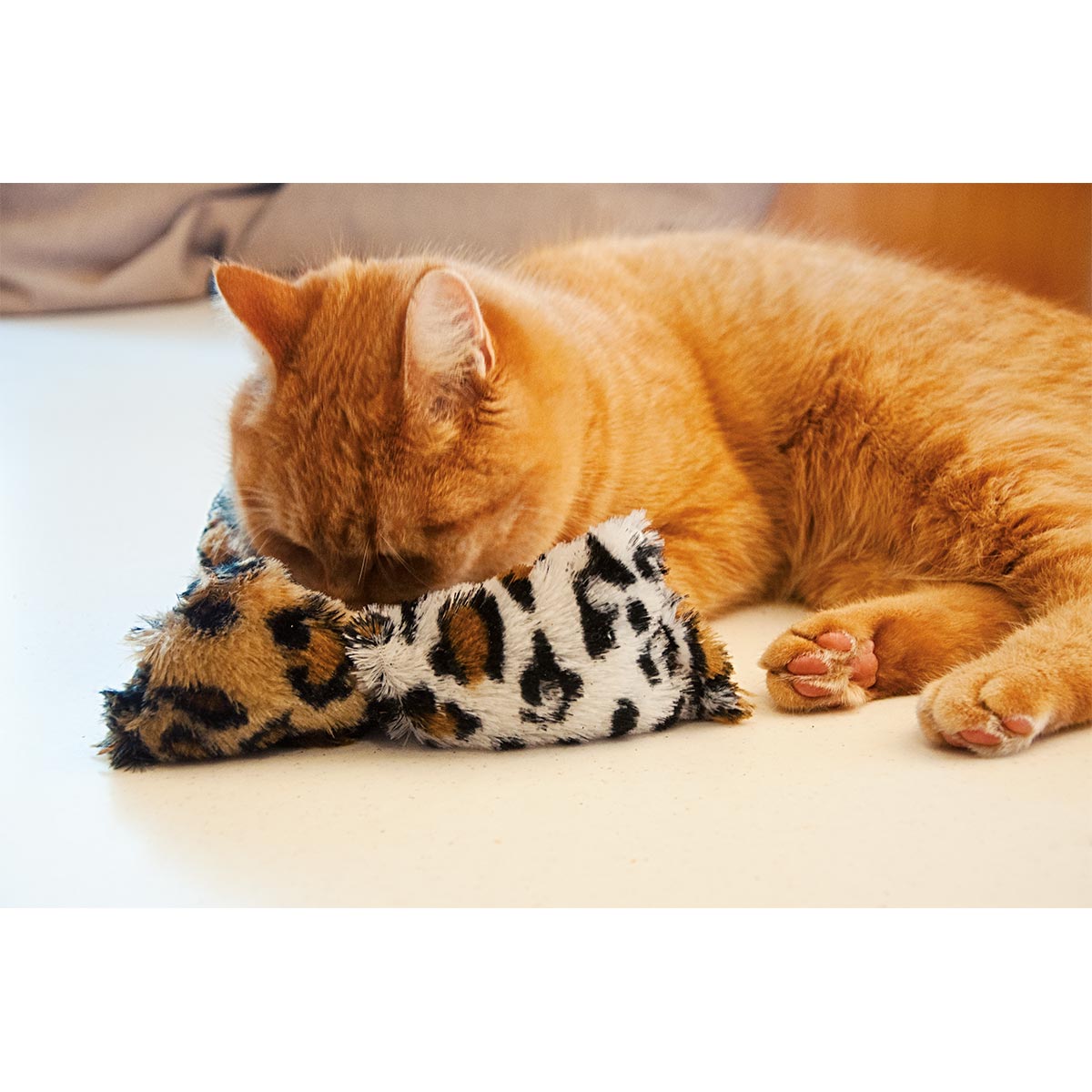 Aumüller Katzenspielkissen Safari Mini kaufen
