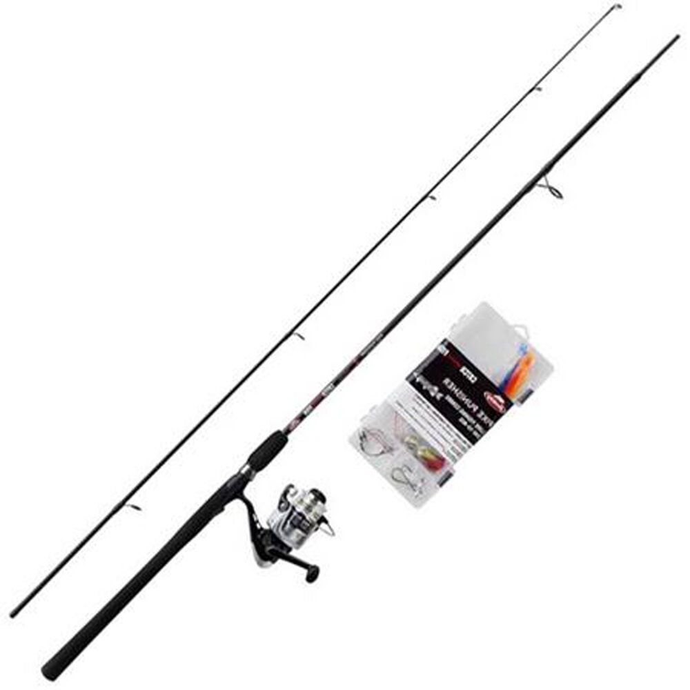 Berkley Spinning Combo 2,40 m, 10-40 g + viehesetti