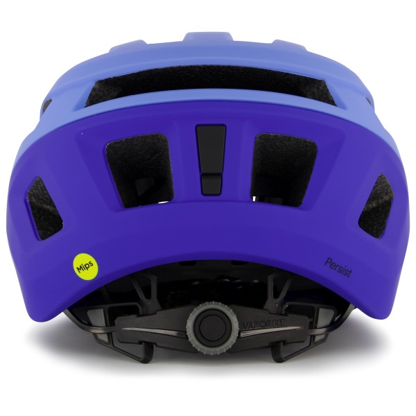 Smith - Persist MIPS - Radhelm