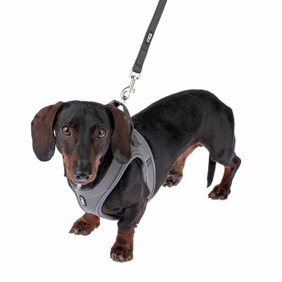 TIAKI Hundeleine Mesh, anthrazit