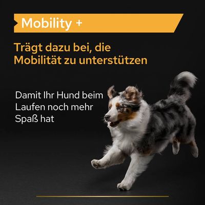 PRO PLAN Dog Adult Mobility Supplement Pulver