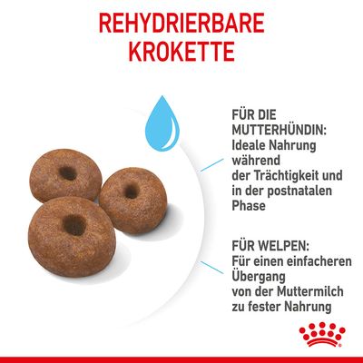 Royal Canin Giant Starter Mother & Babydog