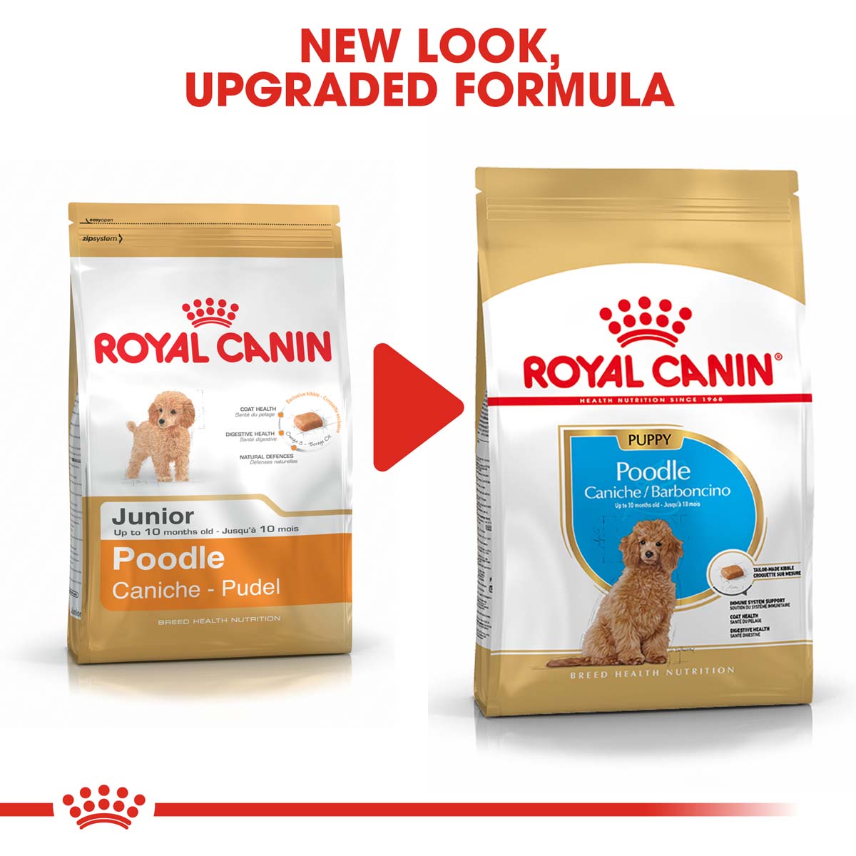 ROYAL CANIN Poodle Puppy Welpenfutter trocken für Pudel
