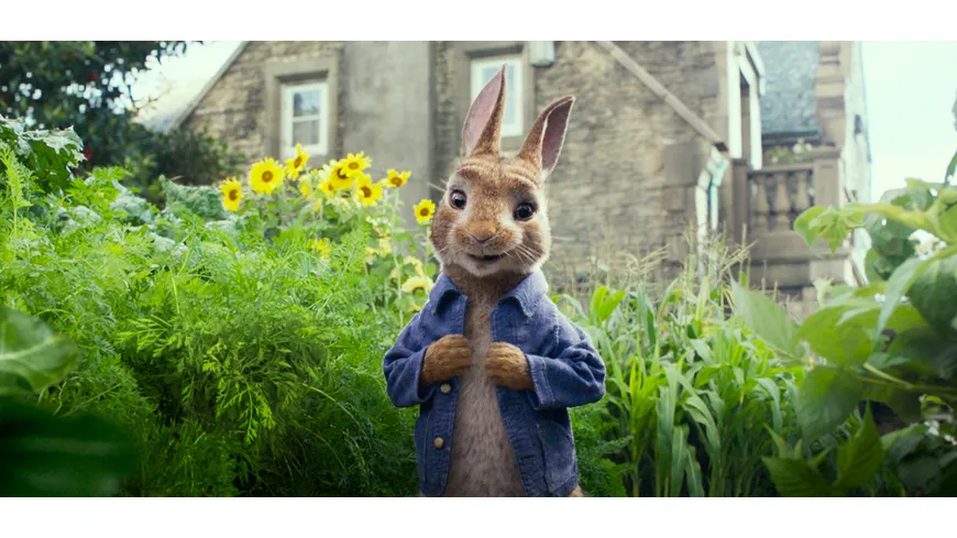 Peter Hase