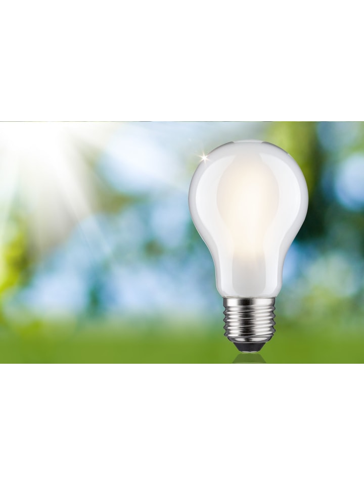 paulmann LED Eco-Line AGL E27 470lm 2,5W 3000K 3step dim matt 230V B günstig kaufen onesize