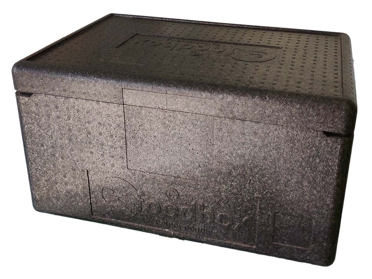 Etheclo Low Kühlbox