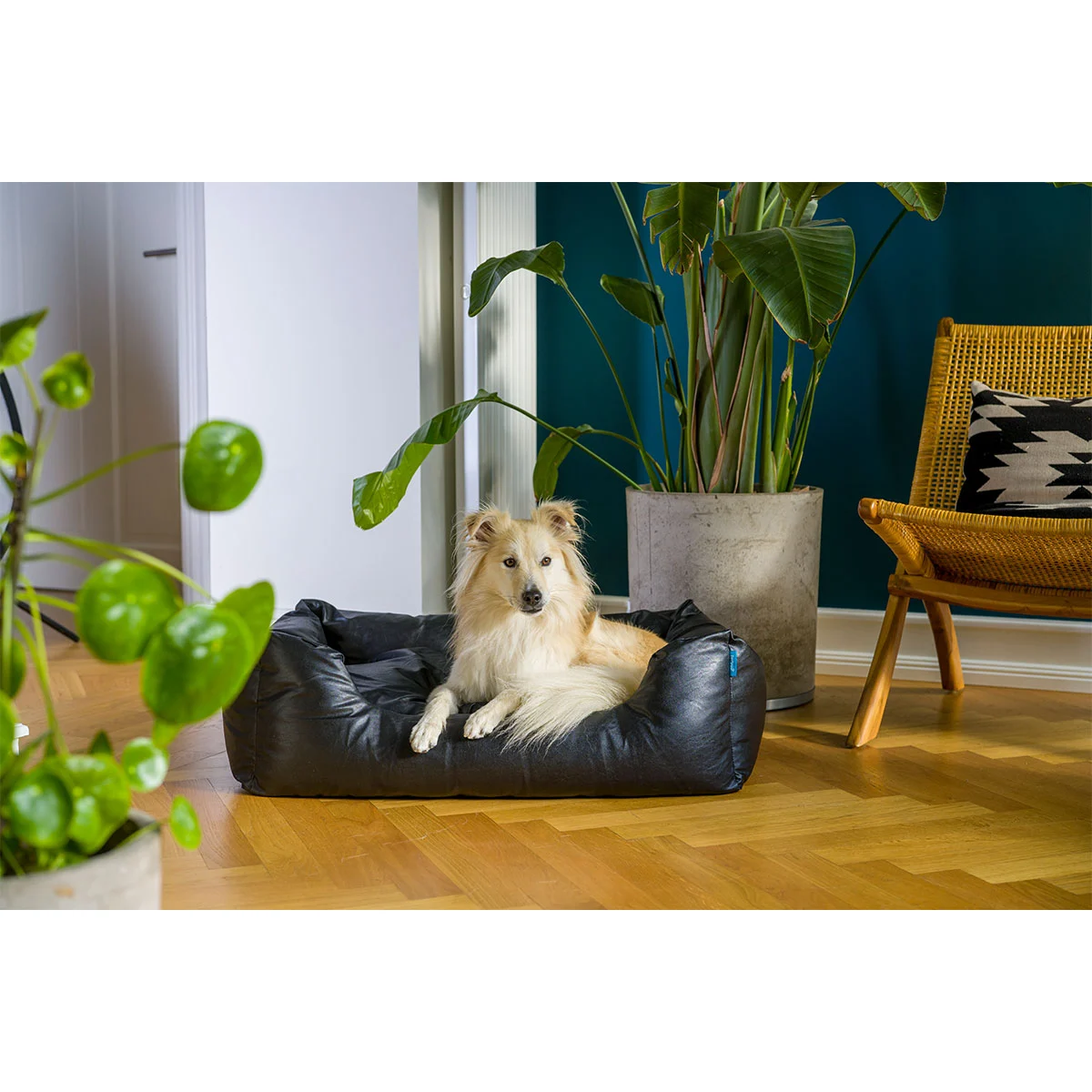 ZooRoyal Hundebett Deluxe günstig kaufen