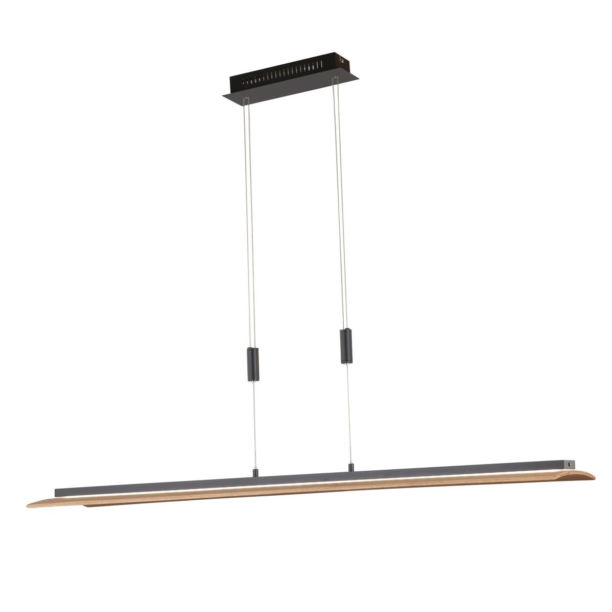 Fischer & Honsel LED Pendellampe Shine-Wood Schwarz