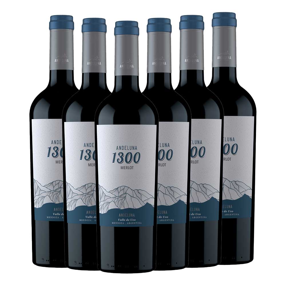 Andeluna Cellars SRL Merlot Andeluna 1300 - 6er Karton