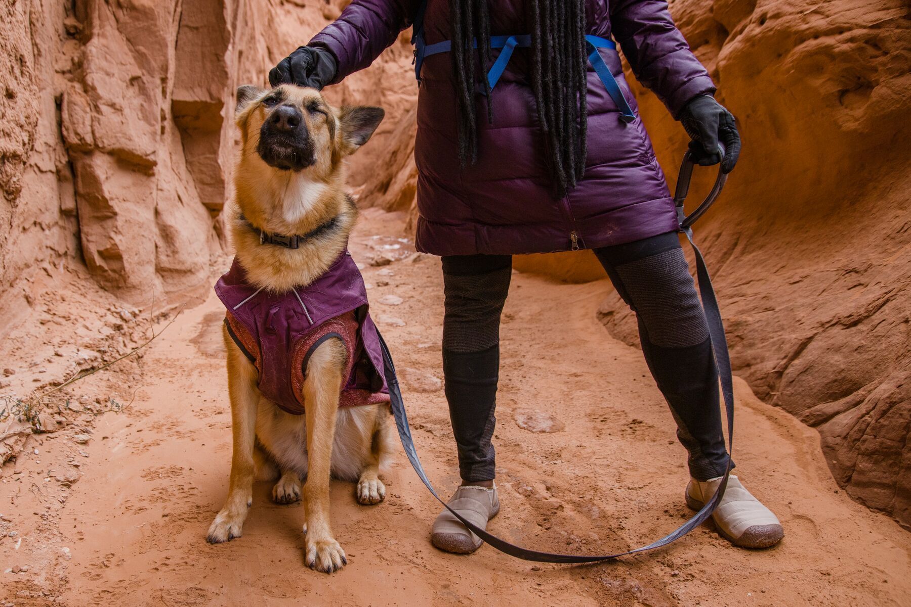 Ruffwear Hundemäntel Ruffwear Overcoat Fuse™ Hundejacke violett L