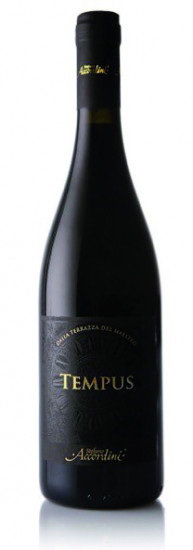 2021 Tempus Veneto IGP trocken - Stefano Accordini
