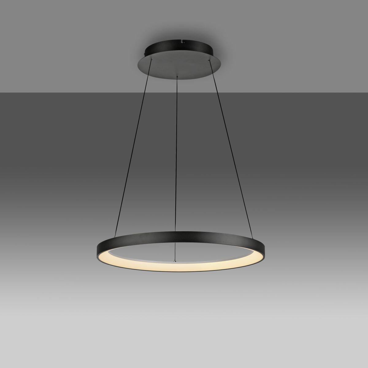 Paul Neuhaus Pendellampe Hoop Schwarz