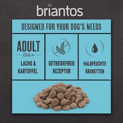 Briantos Adult Lachs & Kartoffel - GETREIDEFREI