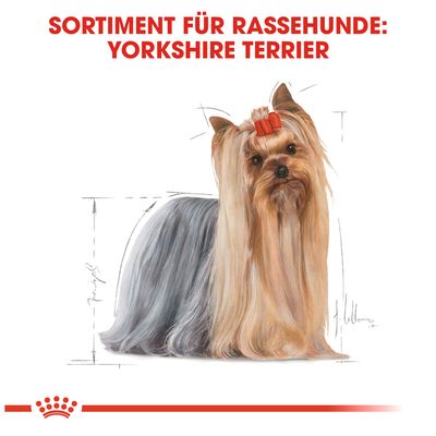 Royal Canin Yorkshire Terrier Adult